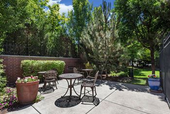 Courtyard bbq